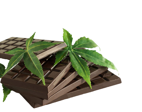 CBD-Schokolade