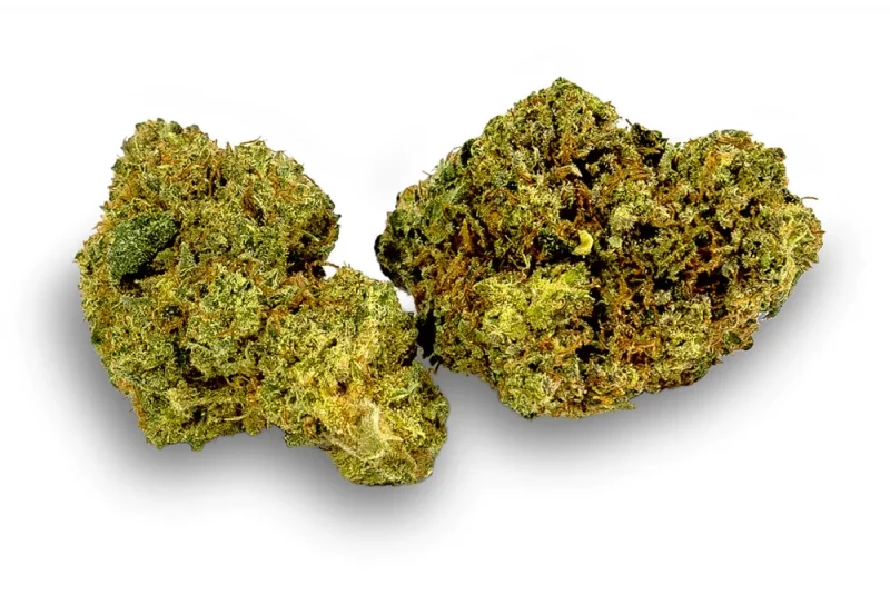 HHC/PHC/PHCP/10-OH Blüten Green Mamba 20%/30%/40%/60%